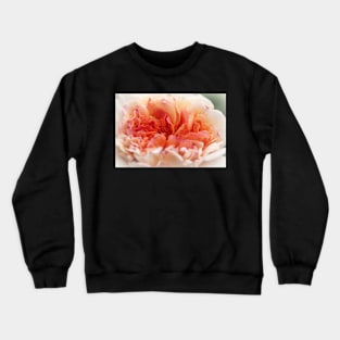 Glace à la pêche Crewneck Sweatshirt